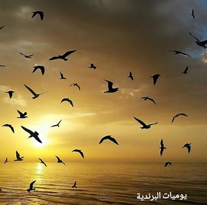 57 reactions · 5 comments | #SIDI_IFNI _صورة ماشي فوطوشوب وغير...