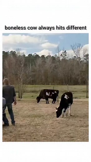 ClipVerse on Instagram: "🎥Under the Dome (2013–2015) Genre: Sci-Fi • Mystery • Thriller Creator: Brian K. Vaughan (based on Stephen King's novel) Starring: Mike Vogel, Rachelle Lefevre, Dean Norris, Natalie Martinez ⸻ SUMMARY One ordinary day, the small town of Chester’s Mill is suddenly cut off from the rest of the world when an invisible, indestructible dome drops from the sky—sealing everyone inside. With no way out and no way in, panic grows as resources shrink, tensions rise, and secrets b