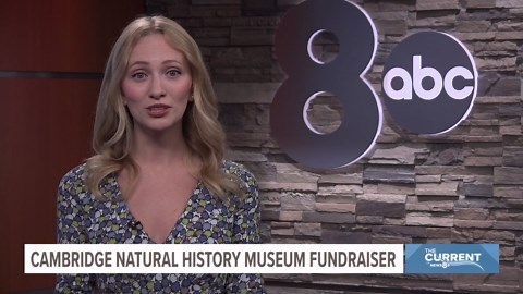 10-year-old Cambridge museum founder raising money for building renovation