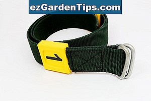 Identifikace pouštní kvetoucí rostliny 🌱 Tipy Zahradníci - Cs.ezGardenTips.com