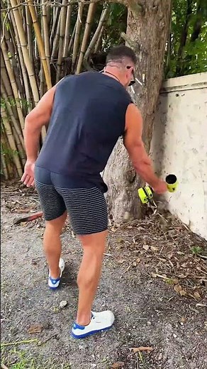 Clean up your yard fast with the SEESE Cordless Leaf Blower