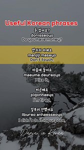 12K views · 337 reactions | Useful Korean Phrases #LearnKorean #KoreanPhrases #KoreanLanguage #korean101 #dariainkorea #fblifestyle | Daria in Korea | Facebook