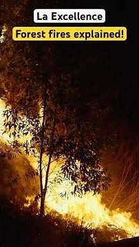 Understanding forest fires!