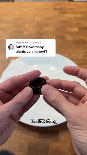 Whether you're a first-time grower or a seasoned pro, our premium seeds are designed for fast, reliable results.  Elite genetics. Guaranteed quality. Ready to grow. | Growers Choice Seeds | Facebook