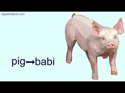 Animals in the Sundanese language