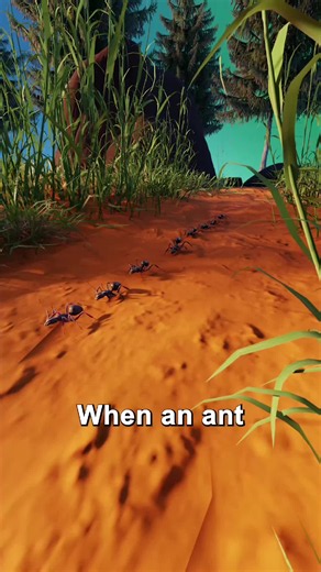 Why Ants Never Retire: The Secrets of Their Lifelong Work Ethic