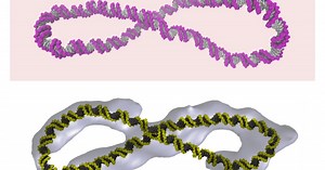 DNA Study Yields Big Surprise About The Tiny 'Molecule Of Life'