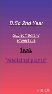 B. Sc 2nd year botany project file on topic "Medicinal Plants"🌱