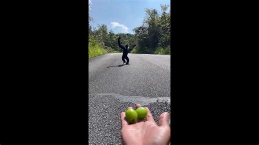 Gibbon delights internet with its drunk human walking style