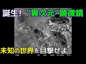 倍率 数万倍！ 生きたままの細胞を電子顕微鏡で見る