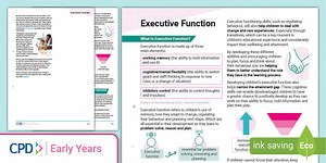 CPD: Executive Function (Handout)