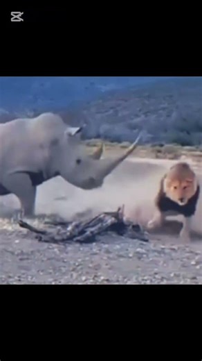 The Most Dangerous Predator Sleeps 20 Hours a Day