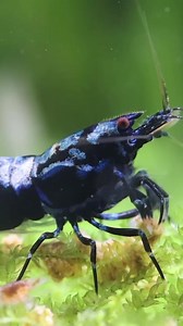 2.5K views · 60 reactions | Wer es bunt liebt, ist mit unserem...