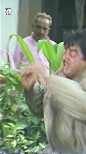 Dharmendra & Shatrughan Sinha's intense fight scene 👌🏻 #movie #shorts #ytshorts #dharmendra #retro