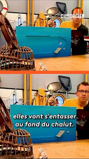 100K views · 810 reactions | C'est interdit de pêcher tous les poissons !  | C'est pas sorcier | Facebook