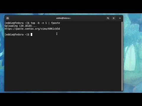 Copy and Share Data from the Terminal in Fedora 34