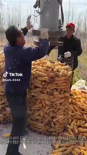 bultum (@bultum055)’s videos with original sound - luck.4344