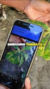 4 Powerful Ways AI is Revolutionizing Agriculture