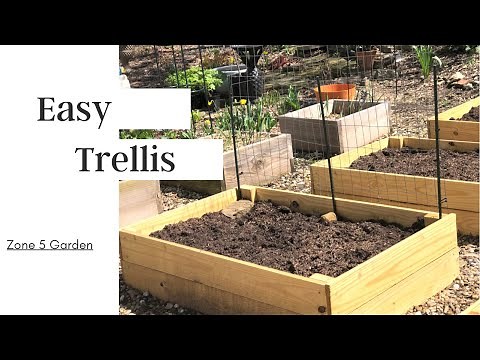 Building a Sweet Pea trellis 👩🏾‍🌾💚