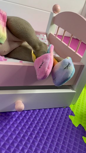 Frenchie G.O.A.T. on Instagram: "ITGIRL, you know I am that GIRL.  #thefrenchiegoat #frenchbulldog #frenchiesofinstagram #dogs #itgirl #spoiled"