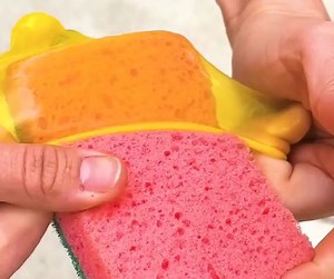 Indoor Oasis! Easy and Innovative Gardening Hacks | 5-Minute Crafts