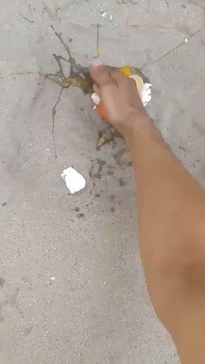 How Not To Make Breakfast ( HowToBasic Parody )