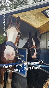 Ahhh just reliving this day out... @Craven Country Ride what a fun day. We had the course to ourselves, all the time in the world to relax, let the horses settle in, relax into it, proceed to take the complete p**s out of each other, laugh till our stomachs hurt, suggest ideas, support each other, and laugh some more. The horses had so much fun. Ee asked, they decided. Even my 22 year old Clydesdale loosened up and to my utter surprise even popped a few logs. He's still got it! The great thing a