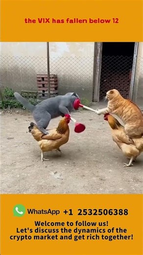 The Future of Web3: The Decentralized Internet#cryptocurrencydaytrading #btc