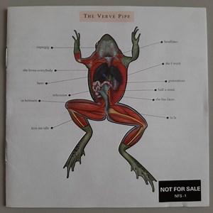 The Verve Pipe - The Verve Pipe