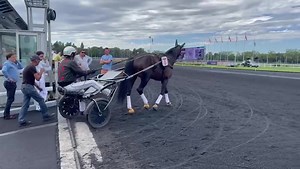 12K views · 335 reactions | ❗️En direct de Vincennes ❗️ ⚪️ Hussard du Landret sort travailler en piste  Sa prochaine course aura lieu à La Capelle (6 septembre )  Michel Burgio | ParisTurf | Facebook