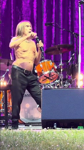 👕⚡ Iggy Pop – in the Red Hot Chili Peppers orbit – chest out and still hitting harder than hype