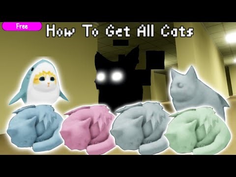 How To Get All Cats In The "Kitten Game" (Full Tutorial)