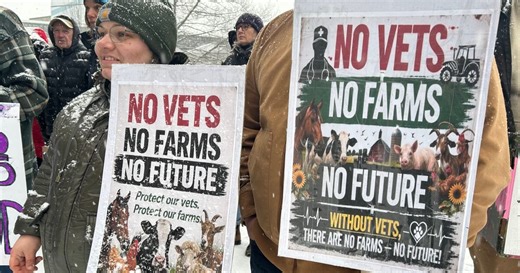 CTV National News: N.B. Farmers rally over province's decision to cut public veterinary services