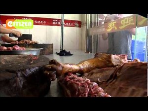 China holds annual dog meat festival