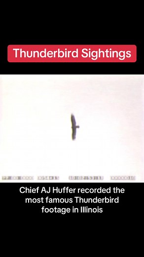 Thunderbird Sighting Caught on Camera - this clip from a 1977 documentary shows an alleged Thunderbird in Illinois. This was filmed by a Native American tribal chief who was contracted by CBS News to obtain footage of the legendary creature Chief AJ Huffer, was hired to look for giant birds called Thunderbirds. In July, he spotted large birds and recorded this video. The footage became extremely popular and was even featured in an episode of Monsterquest. #creepy #cryptid #paranormal #scary #bir
