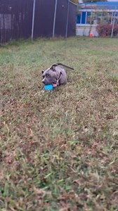 11K views · 517 reactions | Hips Don’t Lie is not just a song, but...