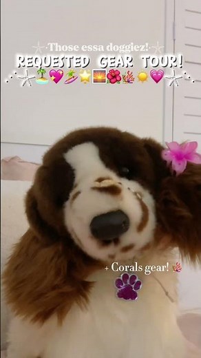 Essa gear tour! 🌟💖 Highly req! #essacomp #essa #douglasdog #douglas #preppy #comfortstuffie