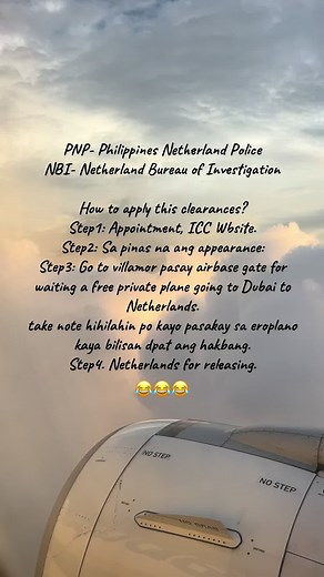 How to Apply for Police Clearances in the Netherlands