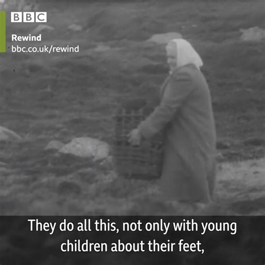 344K views · 2.8K reactions | Do you know someone from Donegal? This...