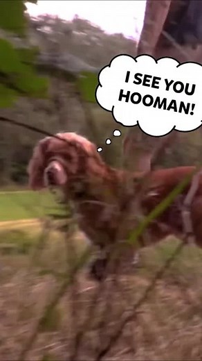 1.3K views | Nothing to see here #KidsInventStuff #kidsinstem #stemforkids | Kids Invent Stuff | Facebook