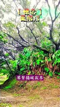 ［懷念（Missing / 懐かしい）］~ 鳳飛飛（Fong Fei-Fei）/ 四腳亭砲台 10 #幸福之歌 #travel #nature #song