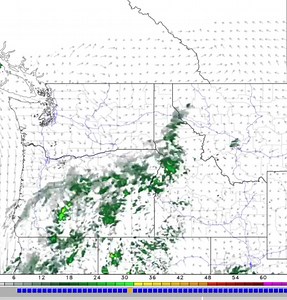 12K views · 555 reactions | Here’s this mornings run of one of the convection allowing models (CAMS) that shows monsoonal moisture increasing over Oregon and Idaho from the south. The drama is going to be in the details but you’re going to notice subtle increases in humidity as well as the temperatures backing off into the 90s as we go throughout the week. I’ll keep you updated. Be patient with me 鸞鸞 #idwx #orwx #tvwhq | Treasure Valley Weather HQ | Facebook