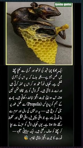 4 Powerful Quotes That Will Inspire & Guide You Towards Success! #LifeLessons #Motivation