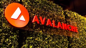 Avalanche Foundation Snaps Up KIMBO, COQ, and Three Other Tokens as First Meme Coin Investment