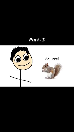 casually explained fan page on TikTok