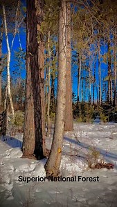 Big Aspen snowshoe trek. . . . . #marissaofthenorth #superiornationalforest #northwoods #minnesota #superiorhikingtrail #ely #snowshoeingadventures #winter #snowshoeing #sht | Marissa of the North
