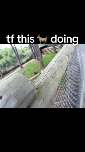 Goat Simulator: Hilarious Goat Antics