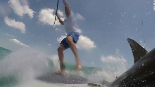 375K views · 3K reactions | Close call: A paddleboarder in Florida...
