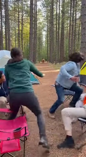 Lion comes out if nowhere. #lion #safari | Lion