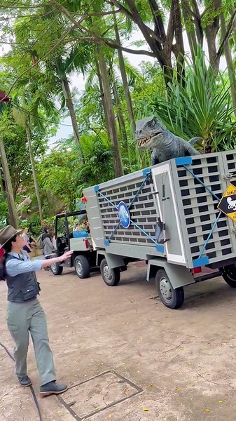 Close Encounter With Blue the Velociraptor at Universal Studios Singapore